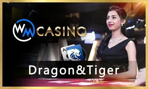 Sports Betting Interface